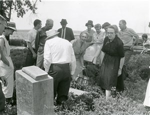 Image description is not available for PHO-4-W689-410